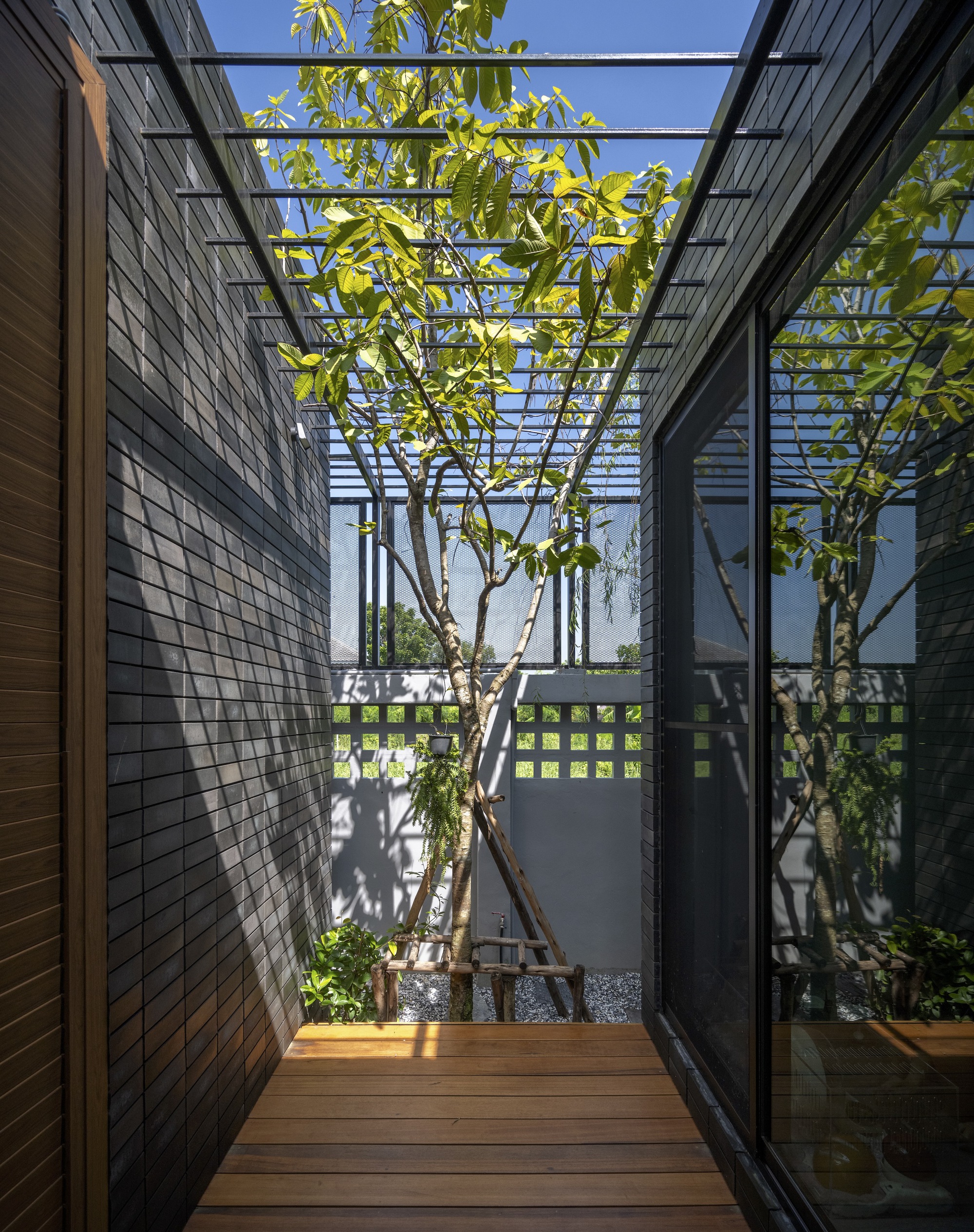 树的房子丨泰国曼谷丨Studio Bewell-27