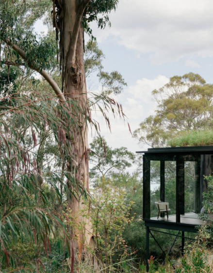 林栖之诗：Archier在塔斯马尼亚的自然共生住宅-17
