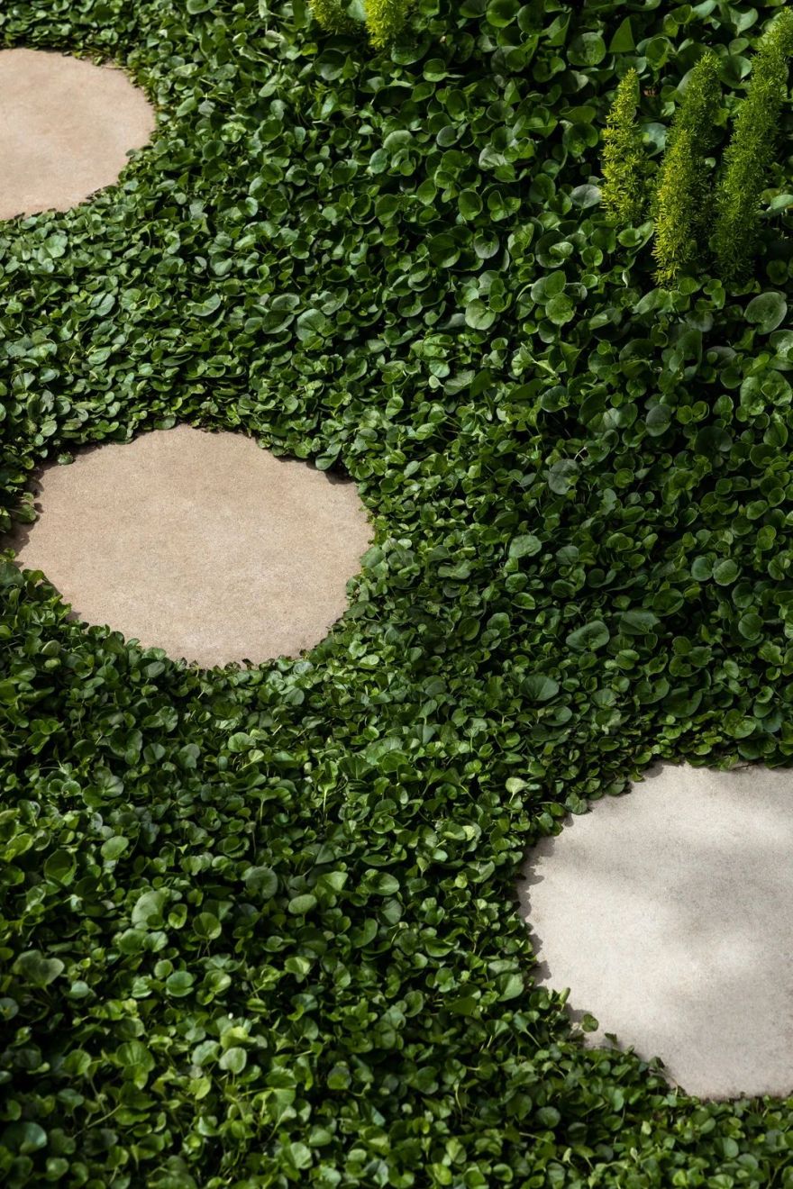 圣殿之屋丨澳大利亚墨尔本丨Mim Design-37