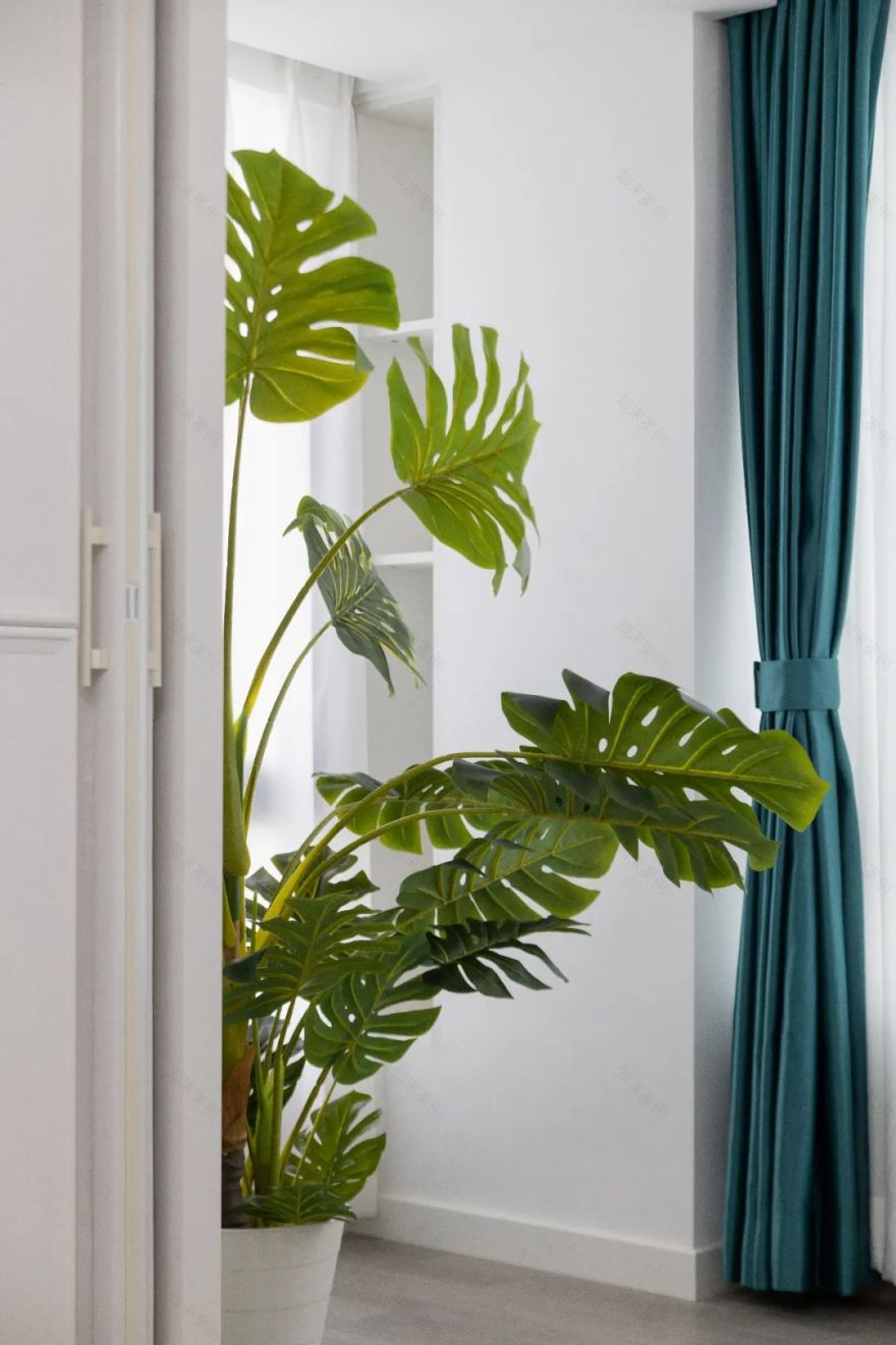 厦门超甜风的住宅-14