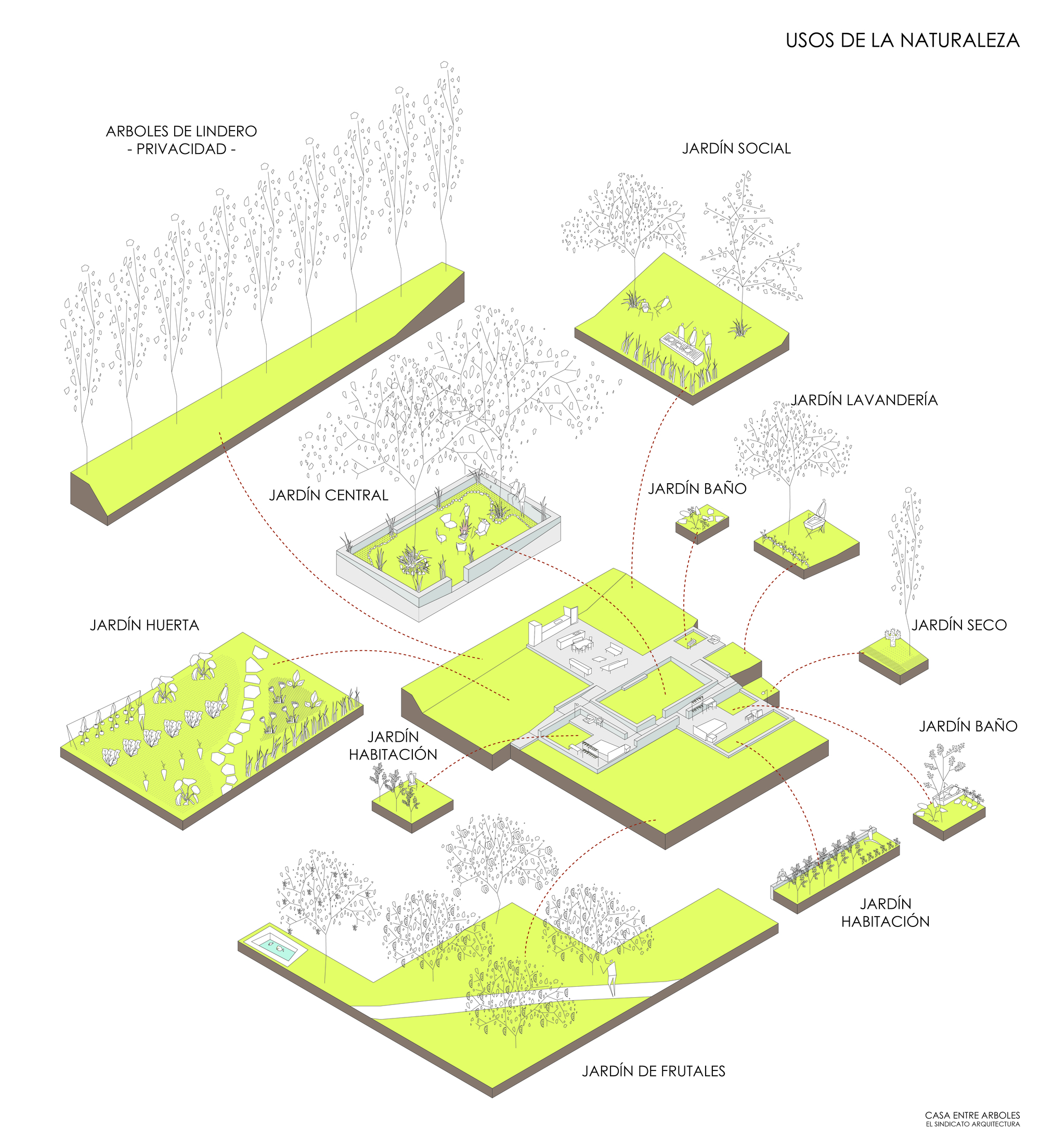 House Among Trees / El Sindicato Arquitectura-56