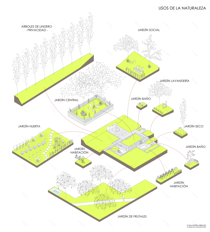 House Among Trees / El Sindicato Arquitectura-56