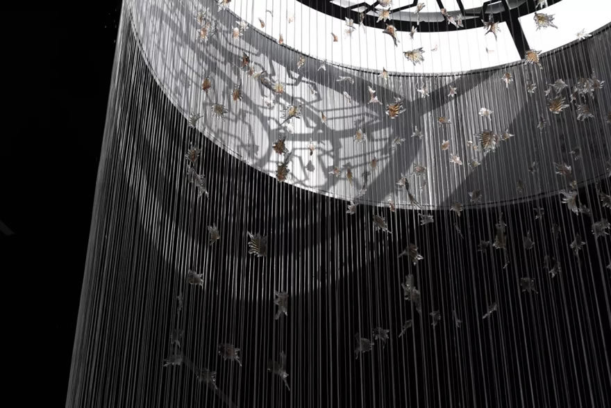 禹洲 旭辉 金科学林春晓-42