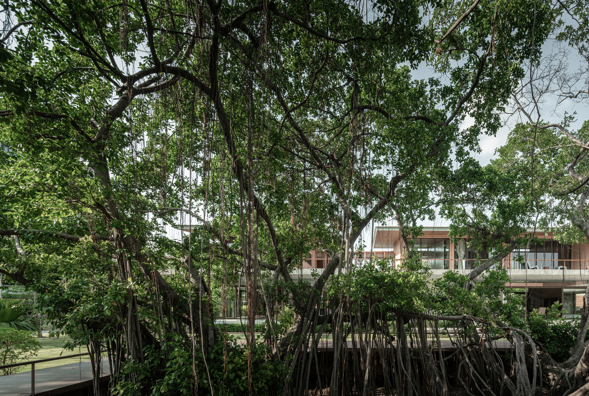 丨泰国丨Anonym-36