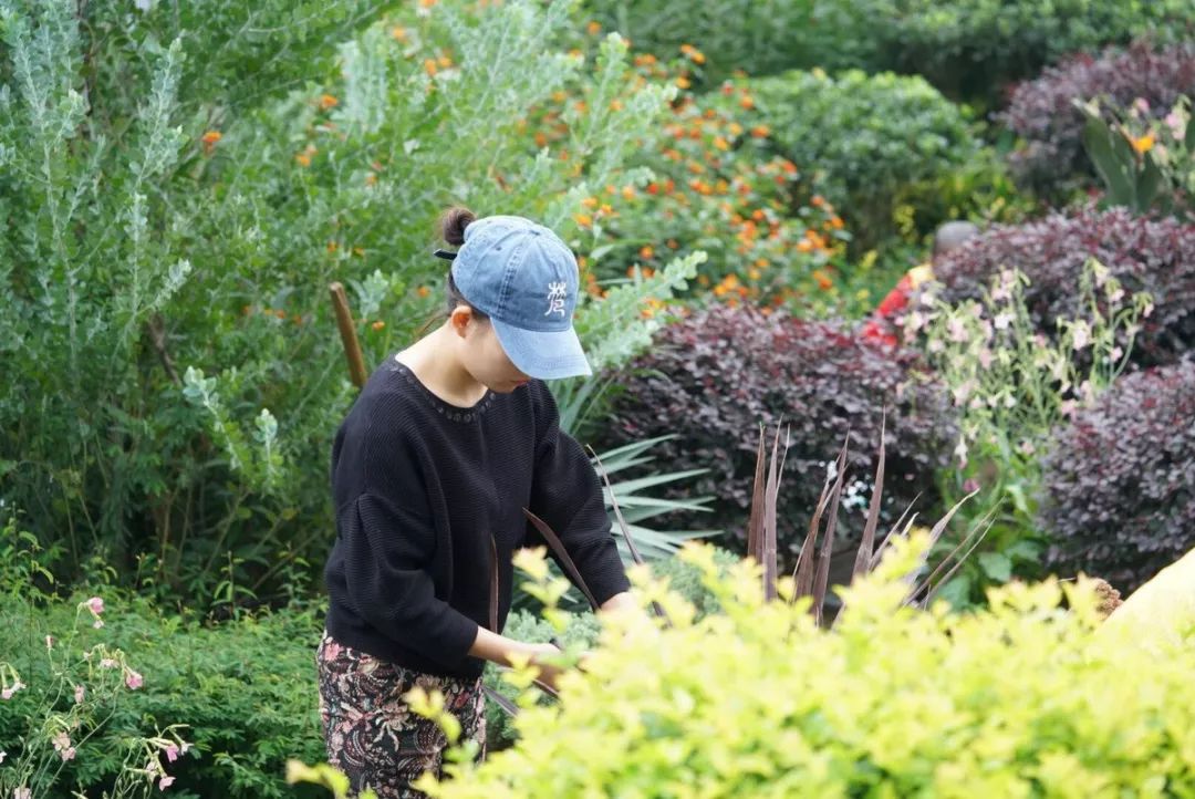 空中花园的粉紫色浪漫 | 乐梵造园的秋韵花境改造-95