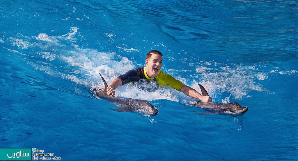 亚特兰蒂斯酒店（Atlantis The Palm）丨阿联酋迪拜-37