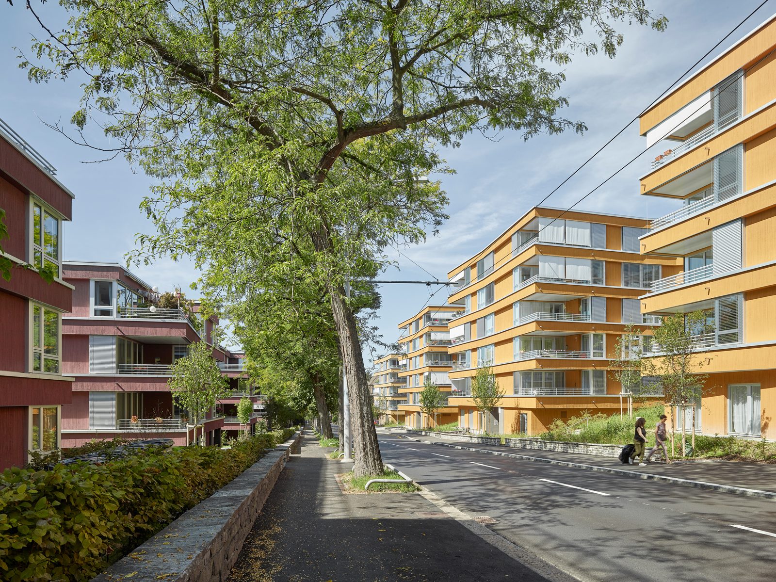 托布勒大街住宅区丨瑞士苏黎世-14