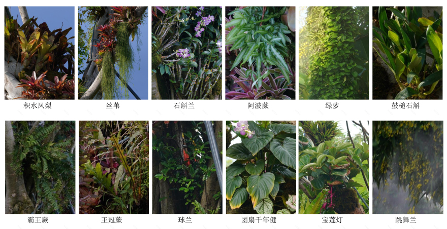 三亚海棠河生态公园(二期)·热带奇趣园丨中国三亚丨LOLA Landscape Architects B.V.-33