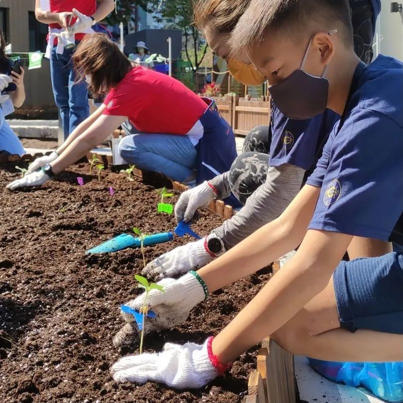 香港KFarm · 高科技农场的绿色奇迹丨中国香港丨陈启豪等-57
