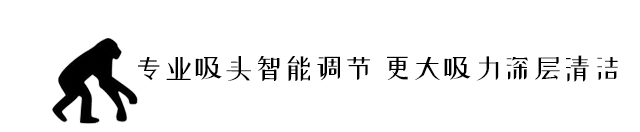 戴森 V11 智能吸尘器，家居垃圾分类好帮手-76