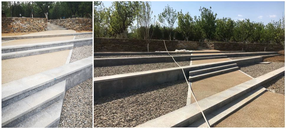 当杏园再着新妆 | 风林杏苑绿化项目建成小记-24