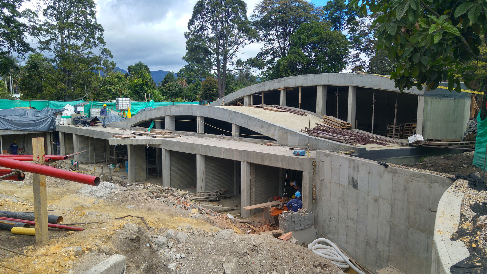 波哥大植物园植物标本馆-63