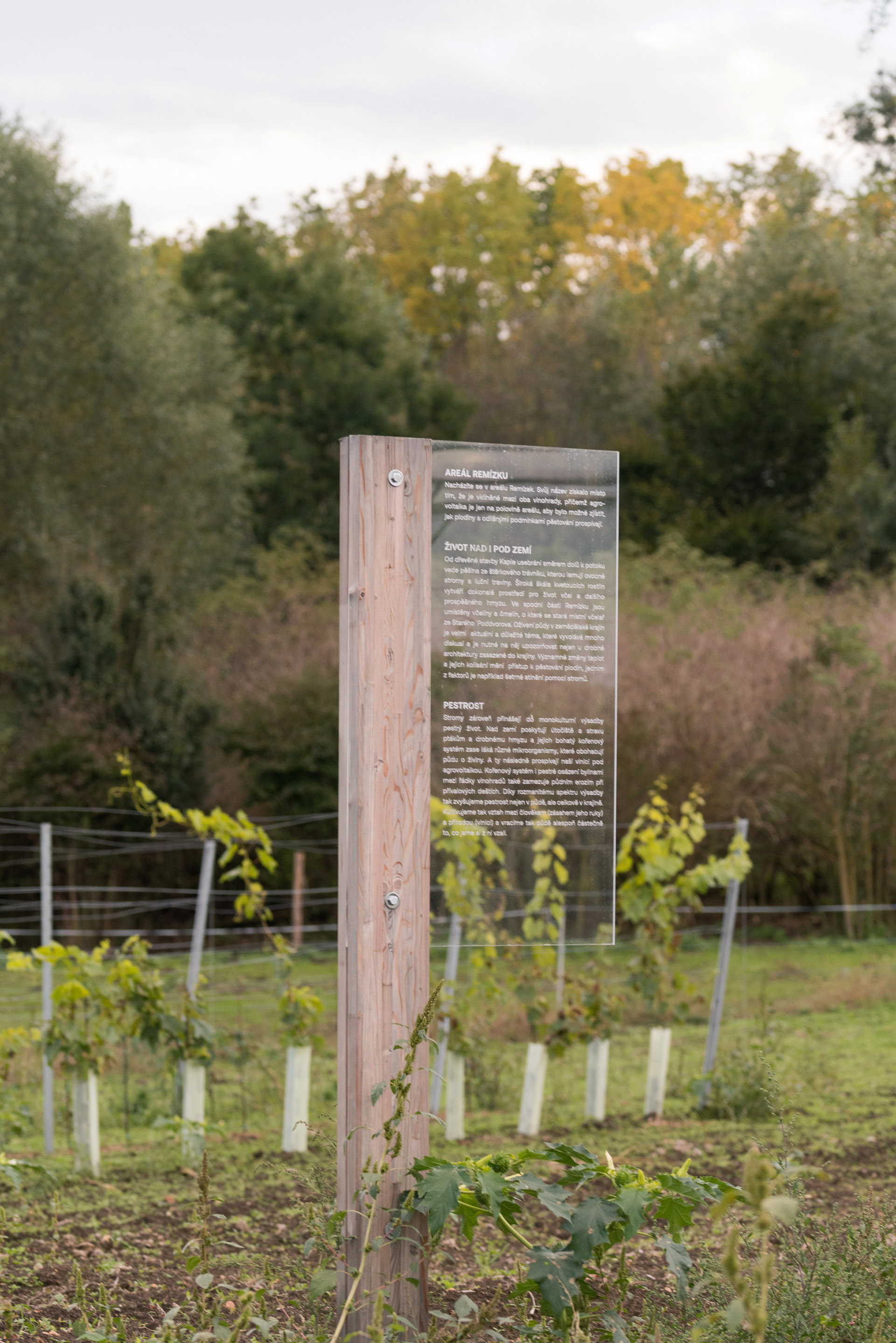 安息礼拜堂丨捷克丨JUNG Architekti-33