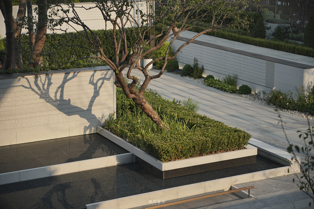 城垣有凤，自然回响|济南绿城凤栖和鸣-71