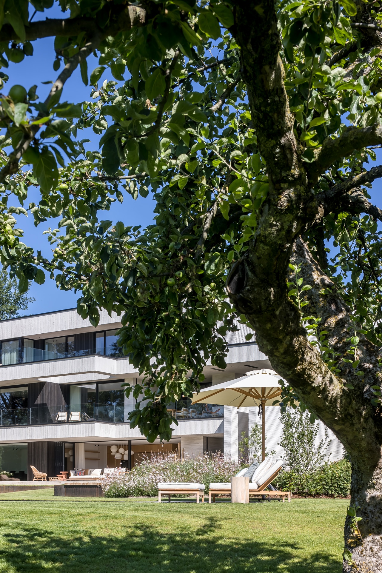 丨建筑师Anja Visser-18