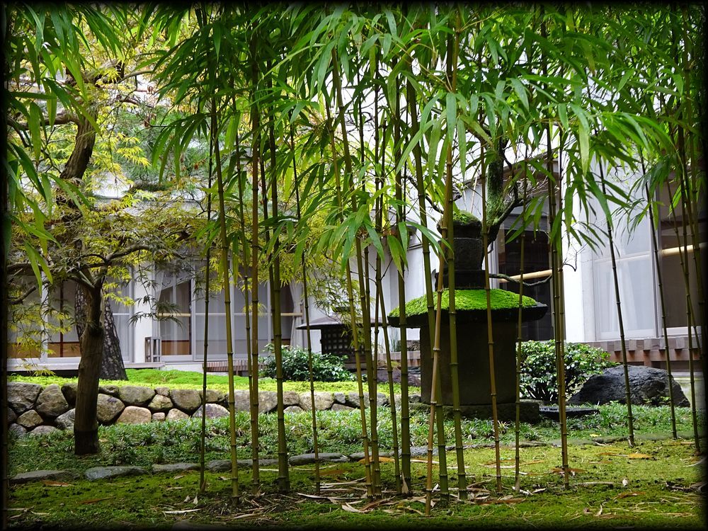 青松寺庭園丨日本京都丨岩城造園-19