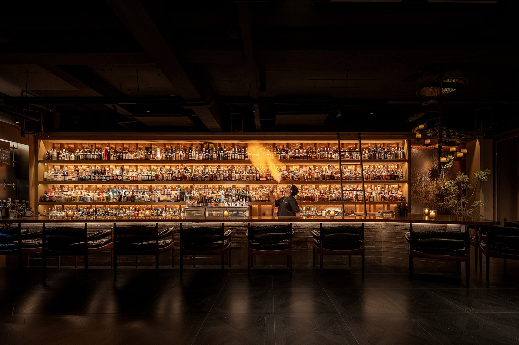 灵泊酒吧丨中国丹东丨白菜设计-25