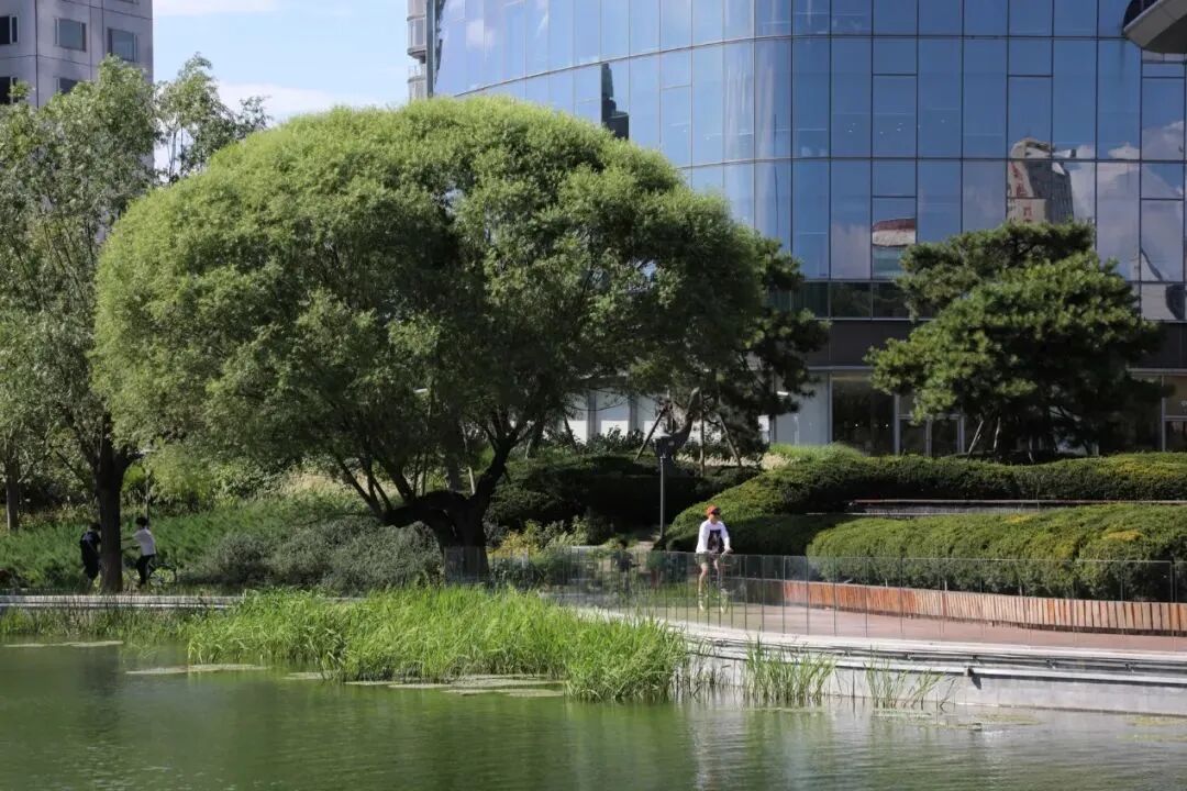北京亮马河滨水景观廊道｜荣获第五届AHLA亚洲人居景观奖公共景观类金奖-60