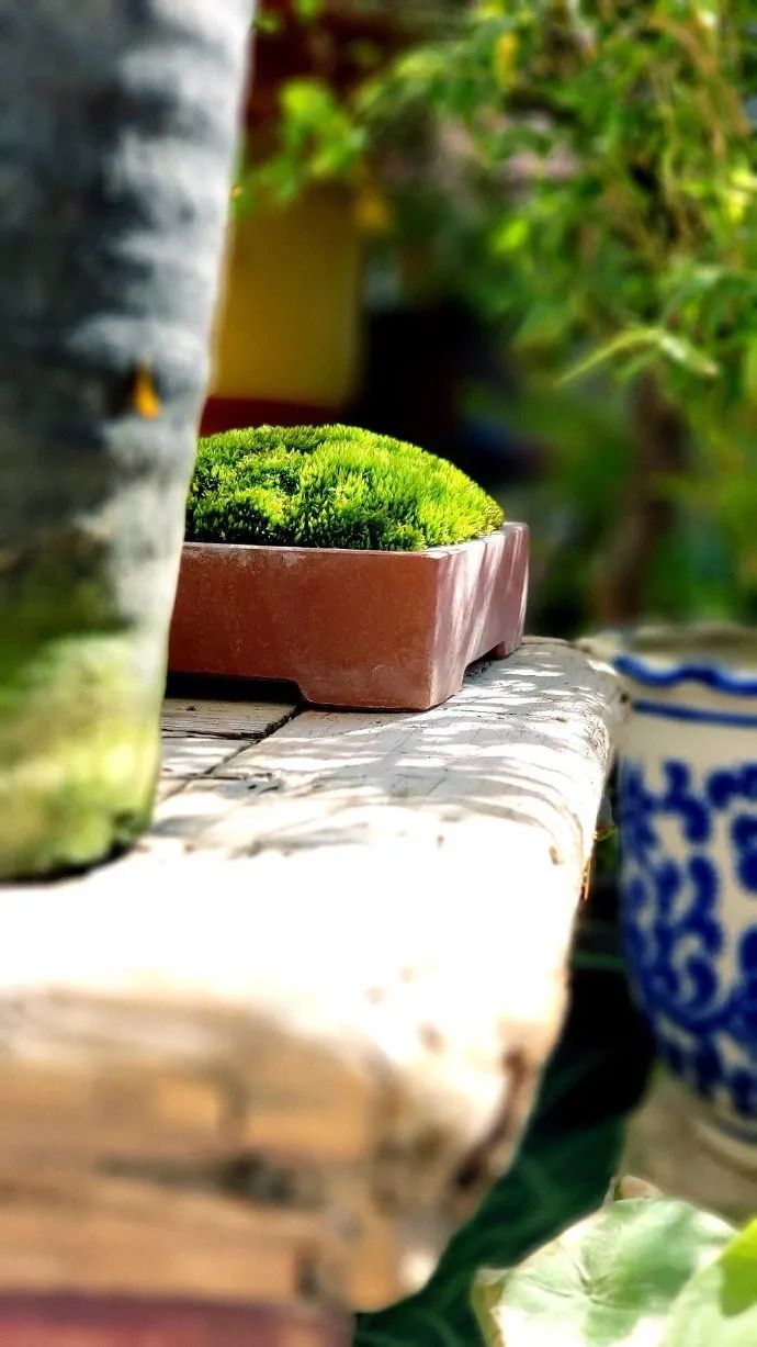 诗意栖居 | 知名设计师打造的生活艺术空间-9