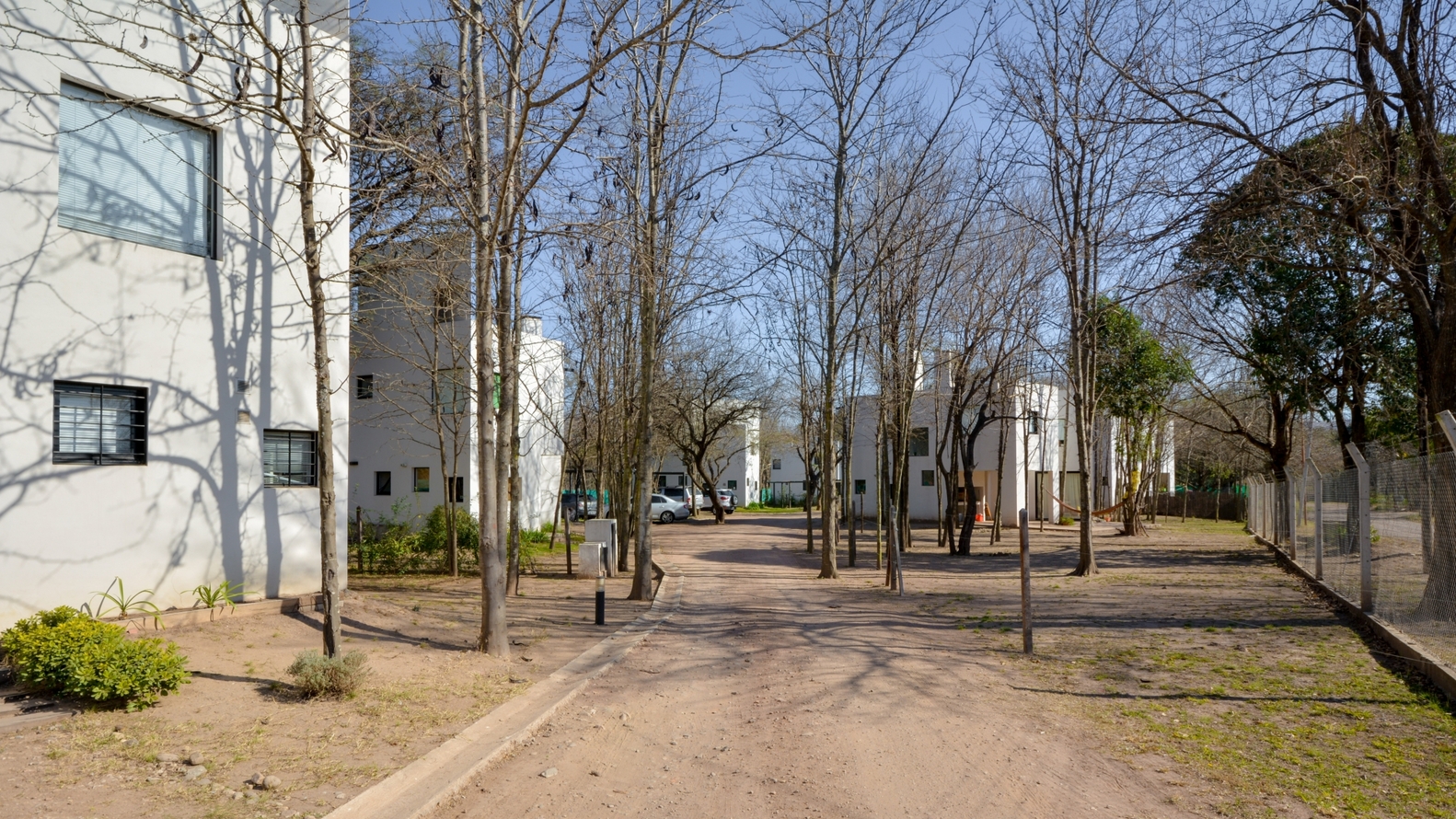 阿根廷相思树森林中的简约住宅群-37