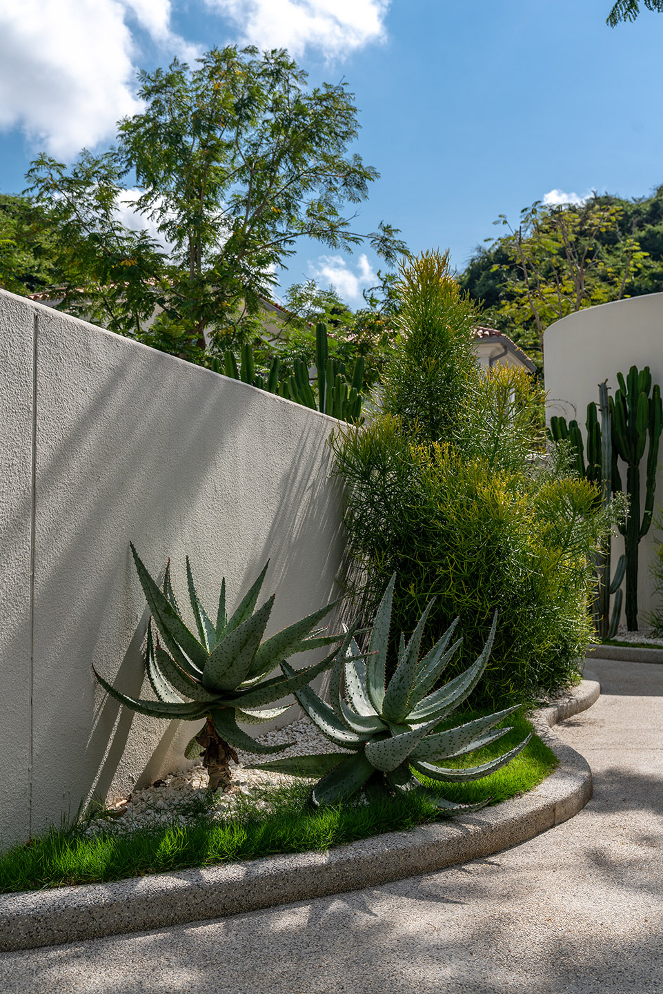 阿那亚三亚南花园丨中国三亚丨Z’scape致舍景观-239