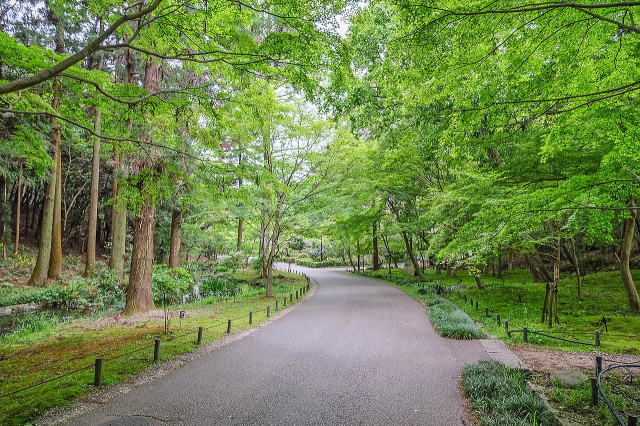名古屋市东山动植物园之植物园丨日本爱知-15