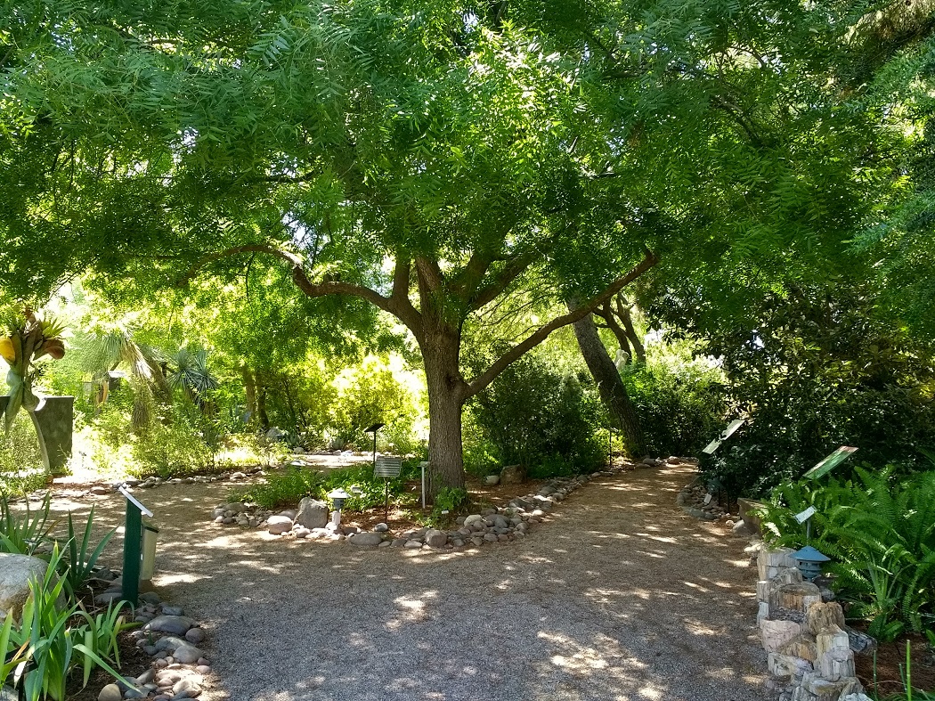 图森植物园（Tucson Botanical Garden）丨美国图森-24