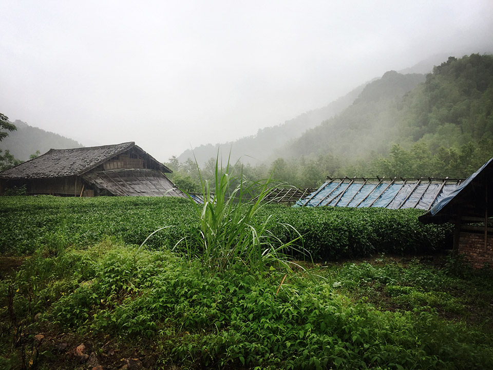 小溪家，福鼎市太姥山 / WEI建筑设计-3