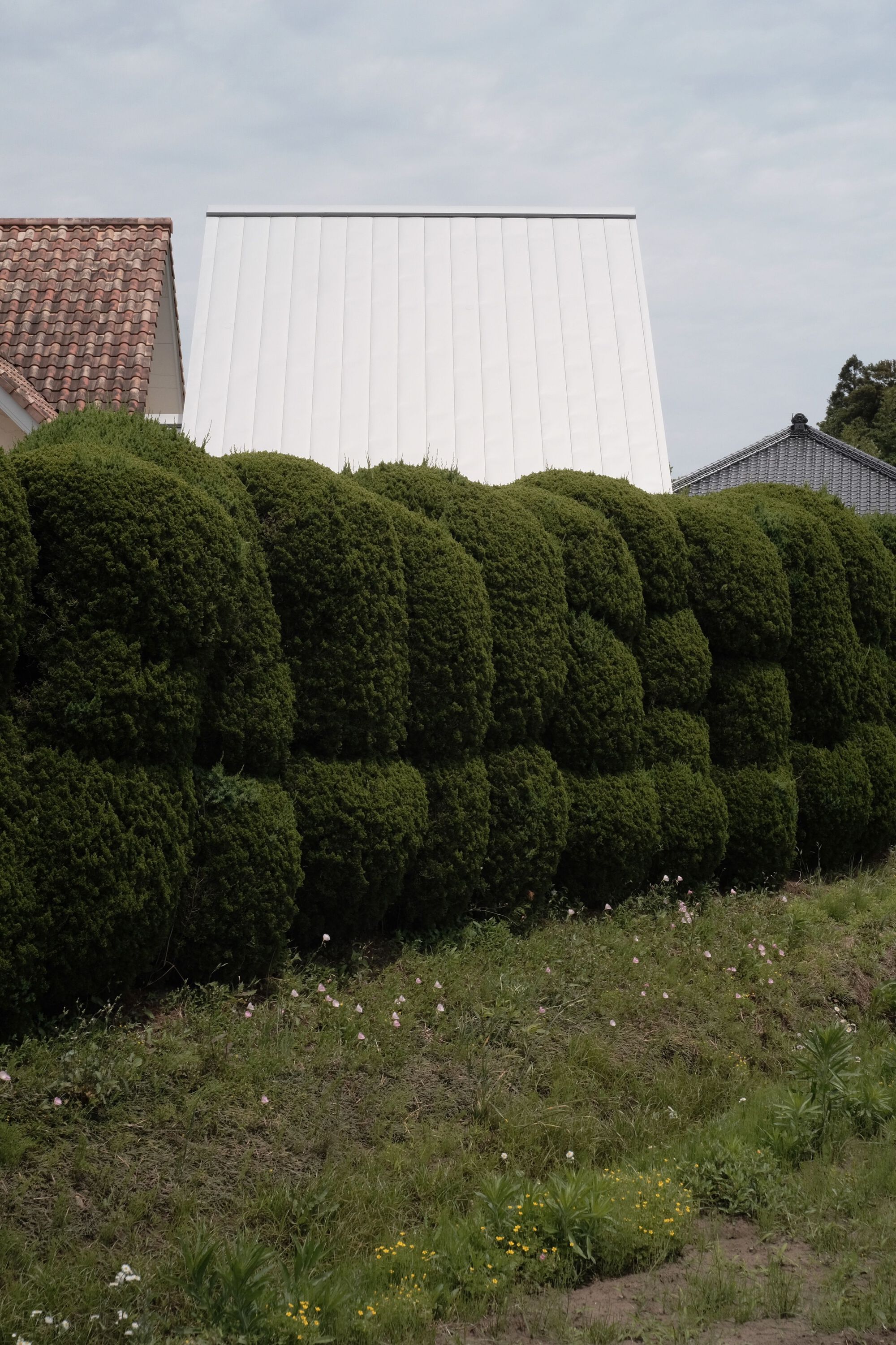 Ushimaru 餐厅丨日本千叶-36