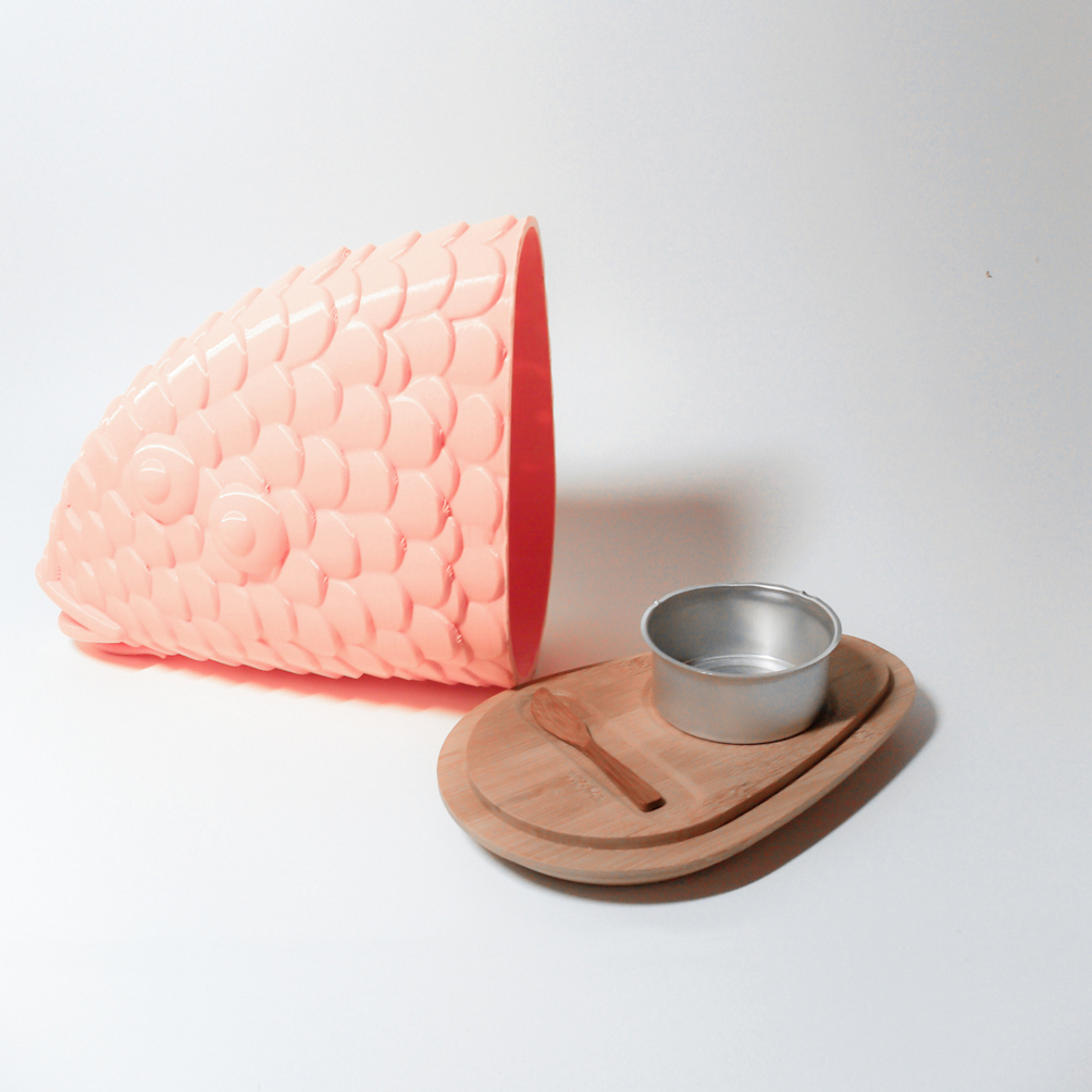 PECES — arquimaña-16