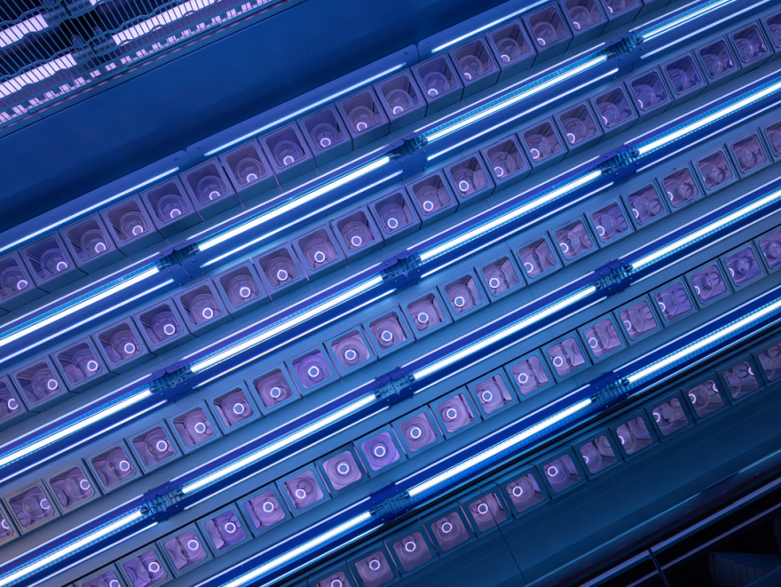 德基广场二期五层商业艺术市集丨中国南京丨唯想国际X Living-46