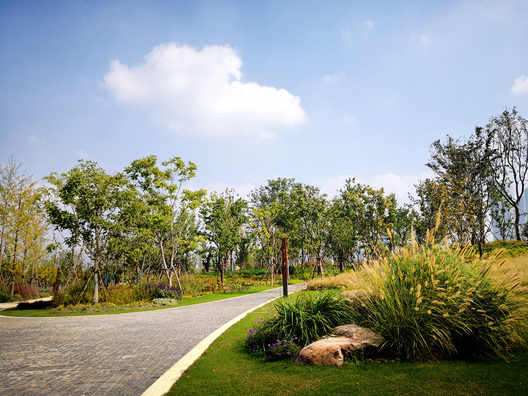 新加坡·南京生态科技岛-41