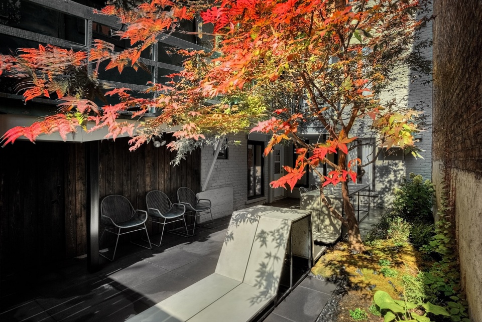 蒙特利尔独户住宅后院重建,MYTO 打造极简日式休闲空间-3