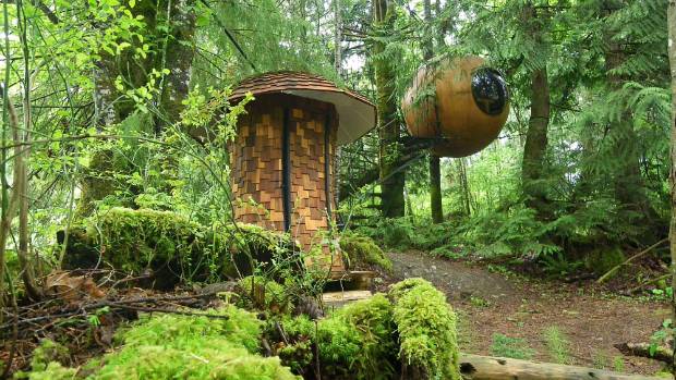Free Spirit Spheres球体树屋丨哥伦比亚丨Free Spirit Spheres社-12