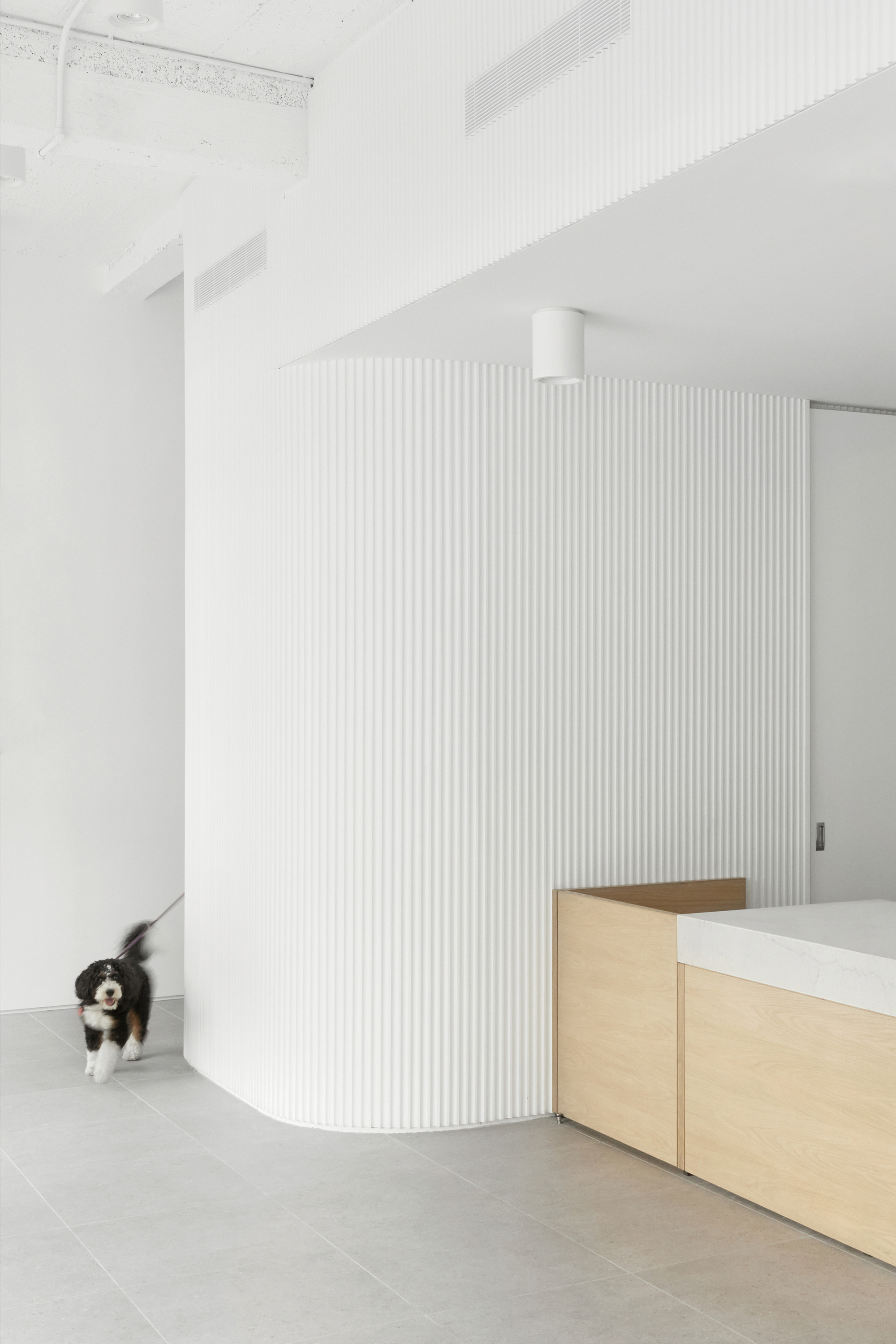 Brilliant Veterinary Care 宠物诊所丨美国曼哈顿丨Group Projects Architecture-27