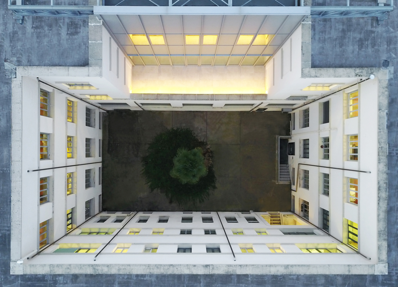 意大利帕多瓦大学制药科学楼翻新-45