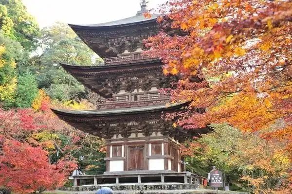 南画风格影响下的日本园林设计丨青木株笔-12