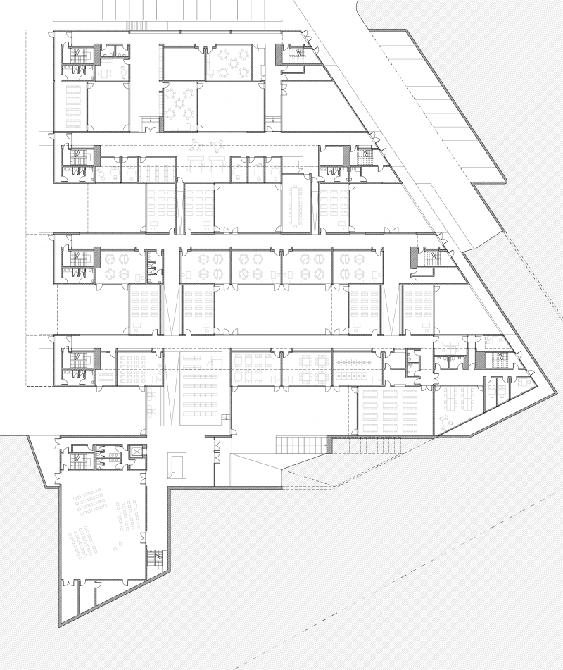 生物气候学派——伊斯顿·康姆斯-19