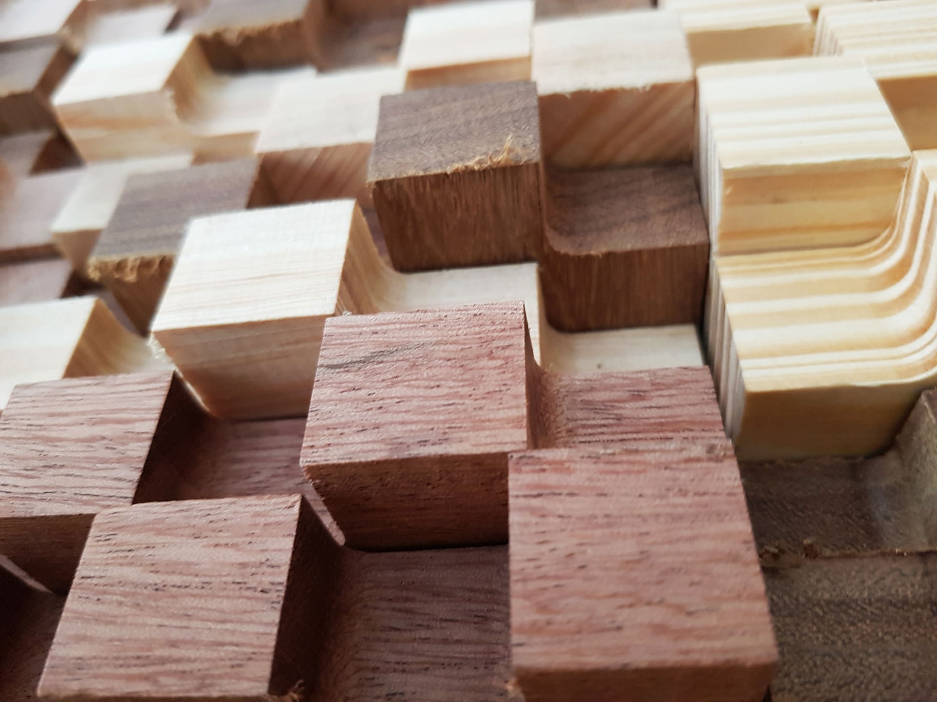 施罗德 – 全基因组编码计划（注：ENCODE全称为Encyclopedia of DNA Elements ，一般译为全基因组编码计划 ） -6