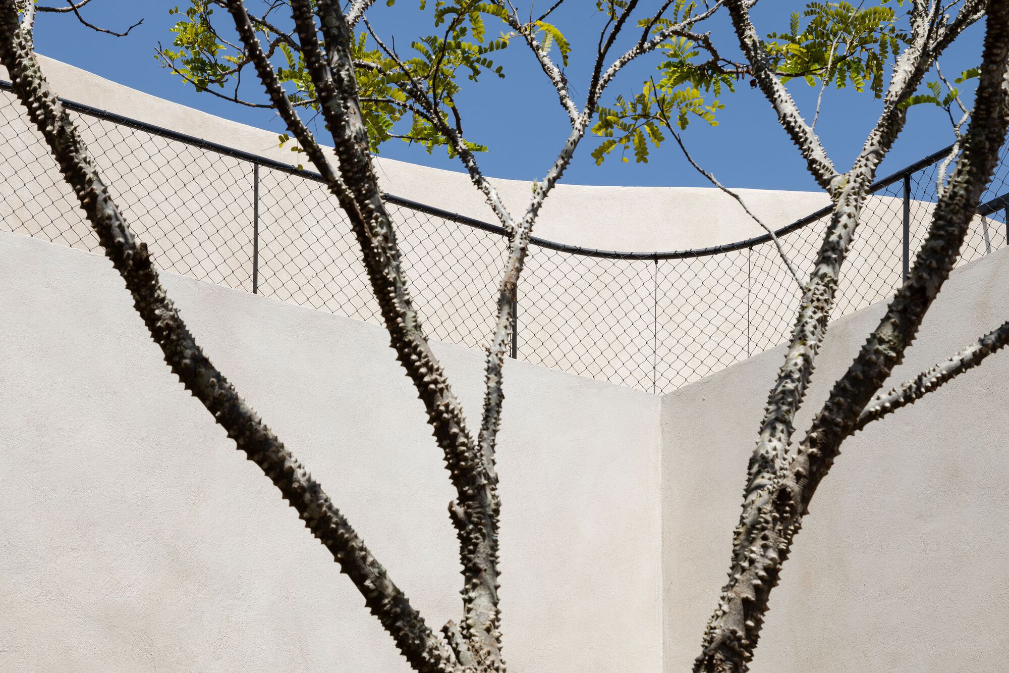 奥伊托之家丨巴西丨ARCHITECTS OFFICE-31