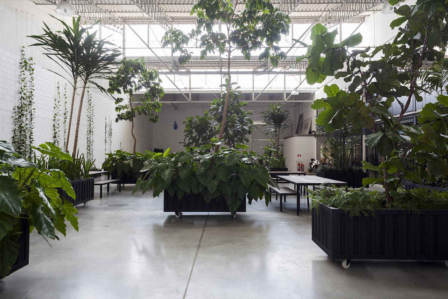 巴西 Paranoid 广告公司办公室-7