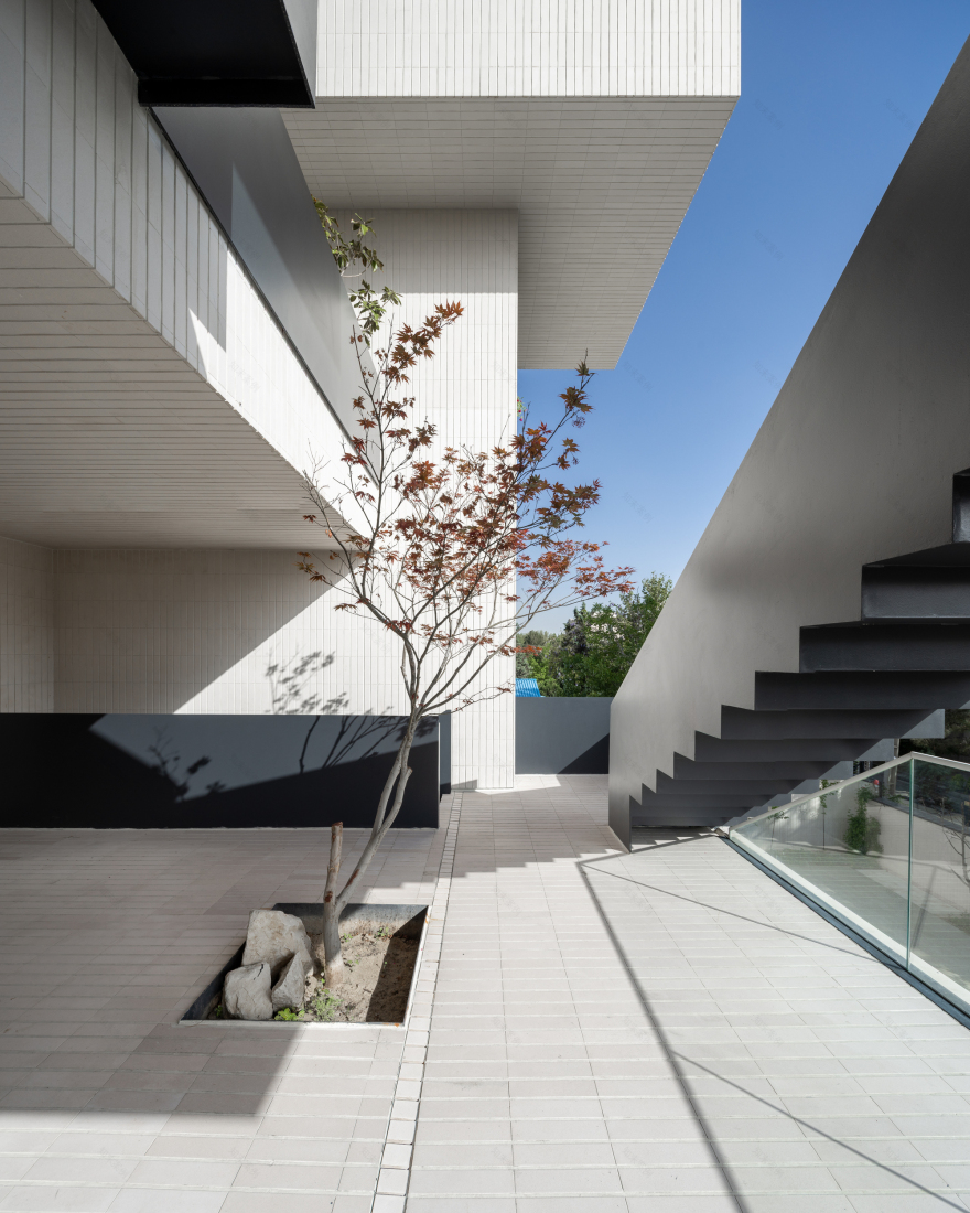 疯狂阶梯丨伊朗丨Sepide Elmi-19