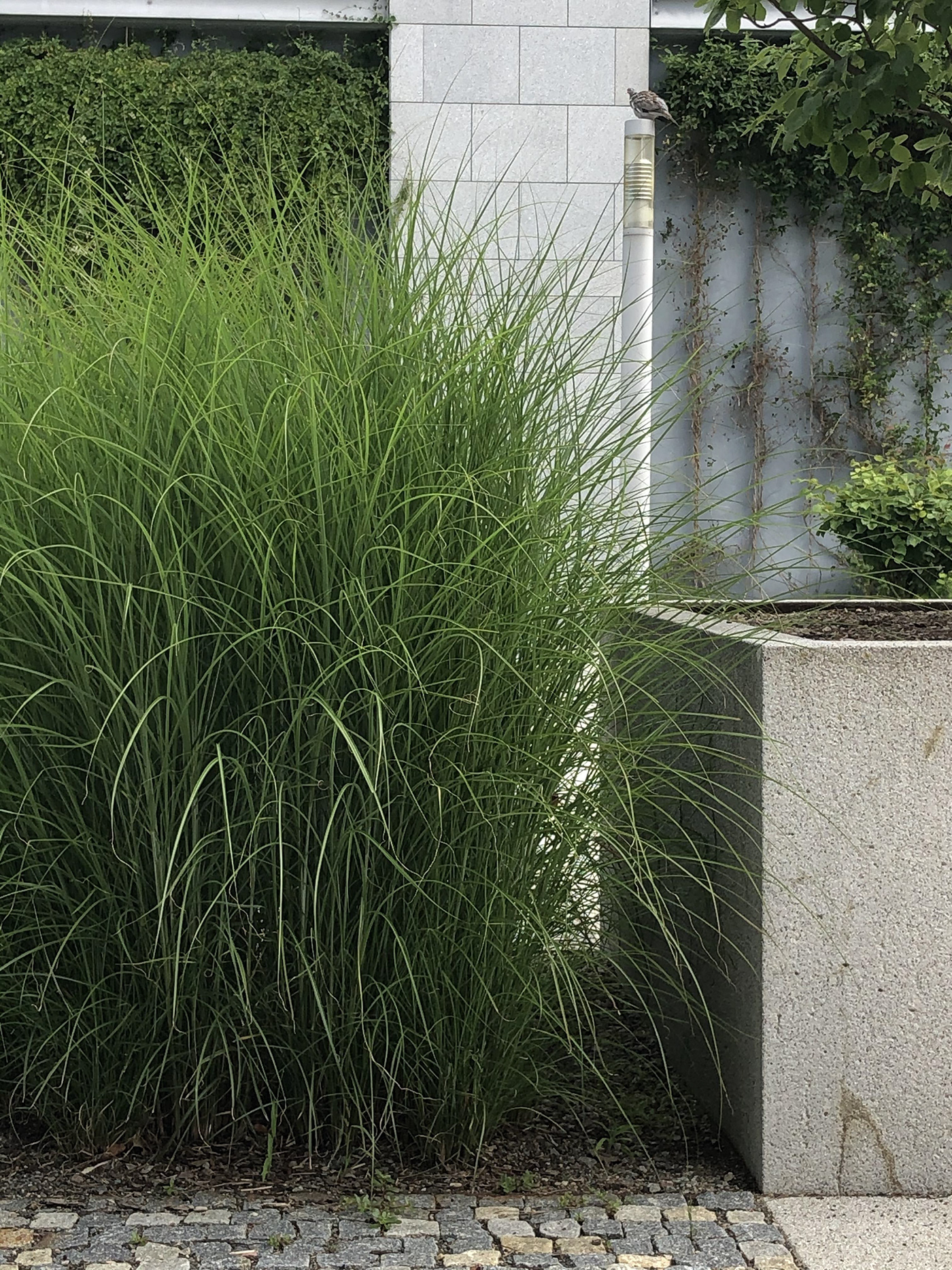 Urban Photography Challenge-0