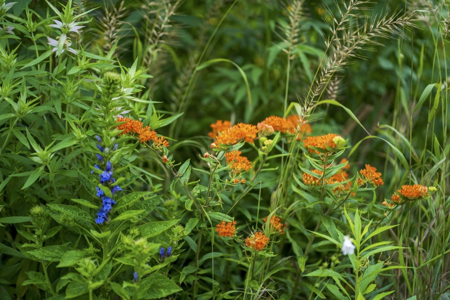 丨加拿大多伦多丨Poiesis Architecture-48