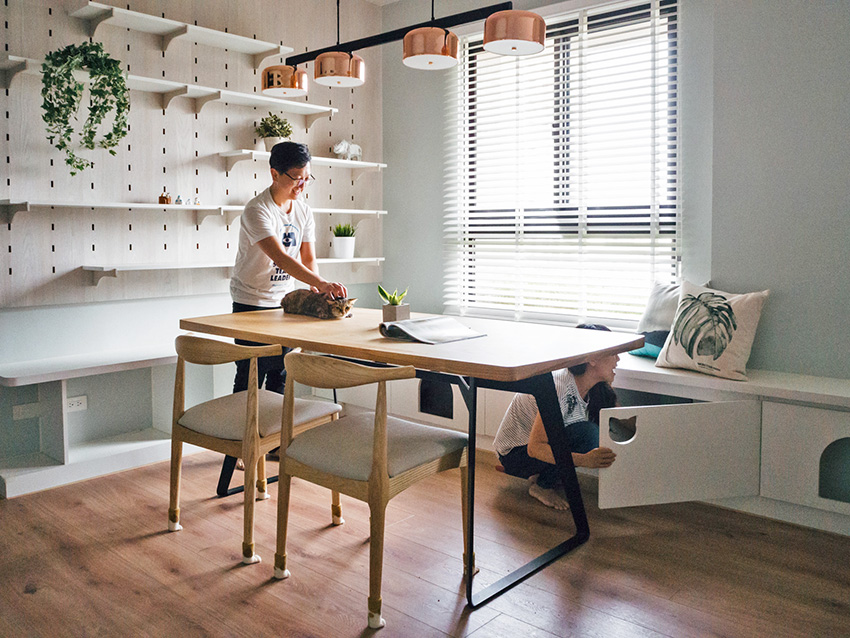 宠物宅设计！专为毛小孩规划-11