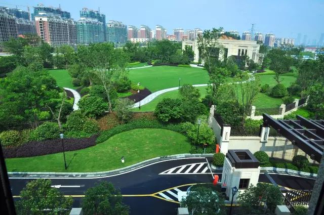 绿化设计中的地被放线手法与植物配置-16