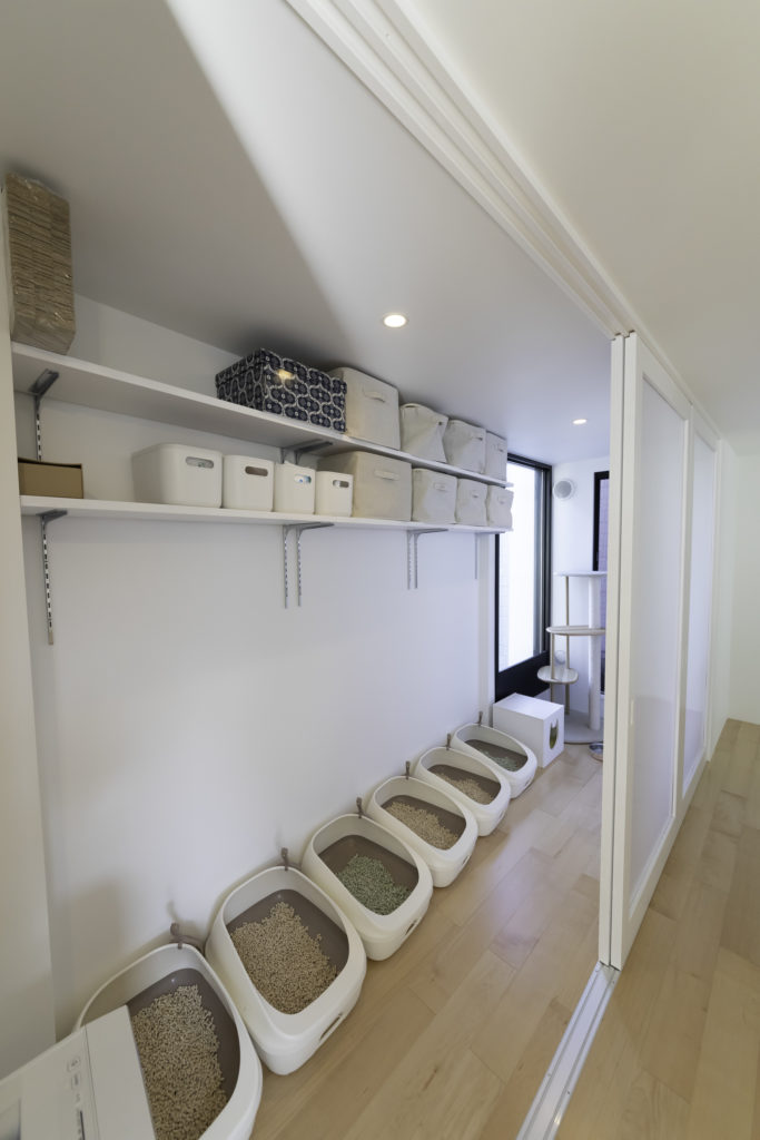 猫たちのお気に入りがいっぱい 適度な距離感で住まう大人4人と猫6匹の快適生活 | Architecture | 100%LiFE-21