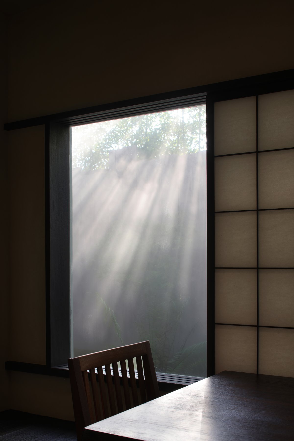 山间茶室 · 疫情下的自由与边界探索丨中国厦门丨「听任」工作室-40