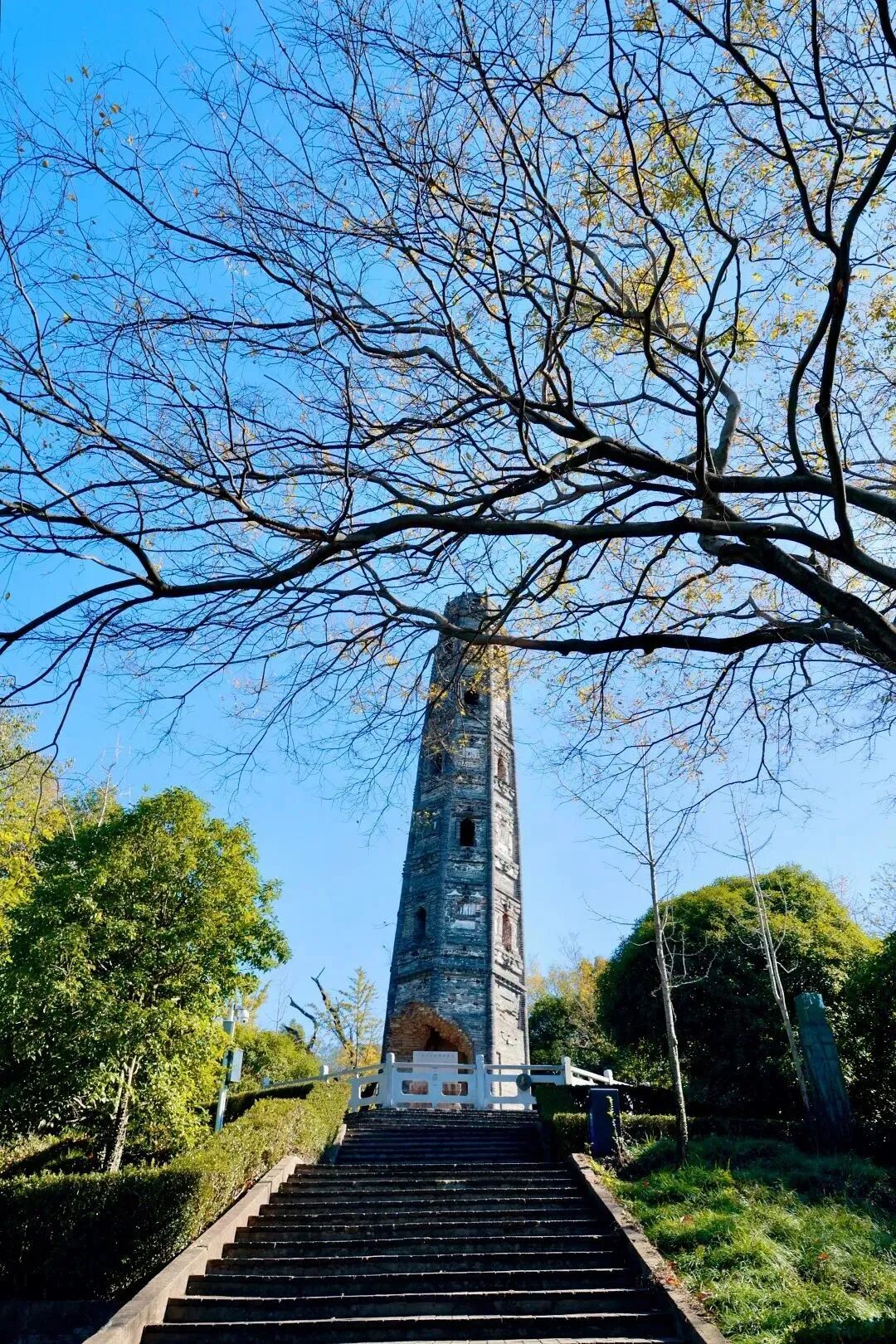 诗画天马——从古画中走出来的沪派江南-10