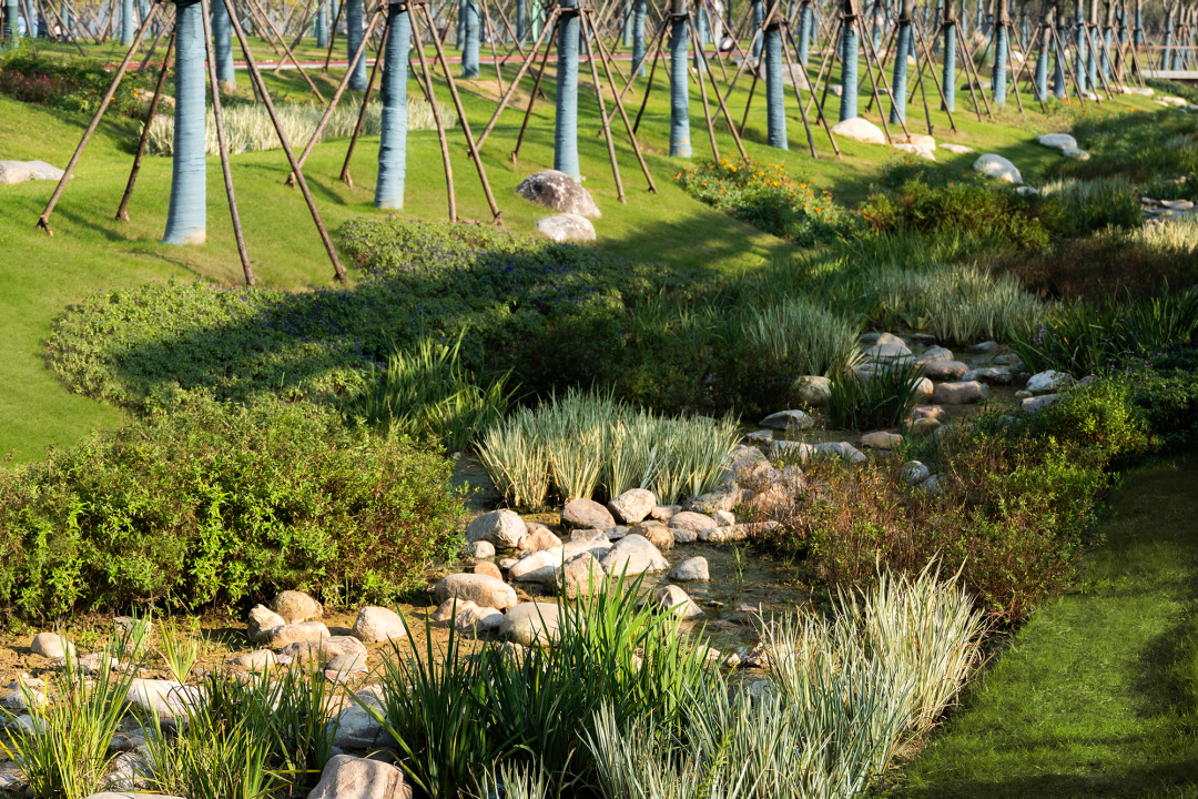 合肥骆岗公园景观设计丨中国合肥丨泛亚景观设计（上海）有限公司-72